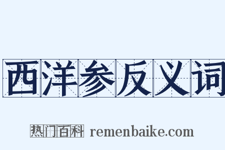 西洋参反义词是什么意思的图片